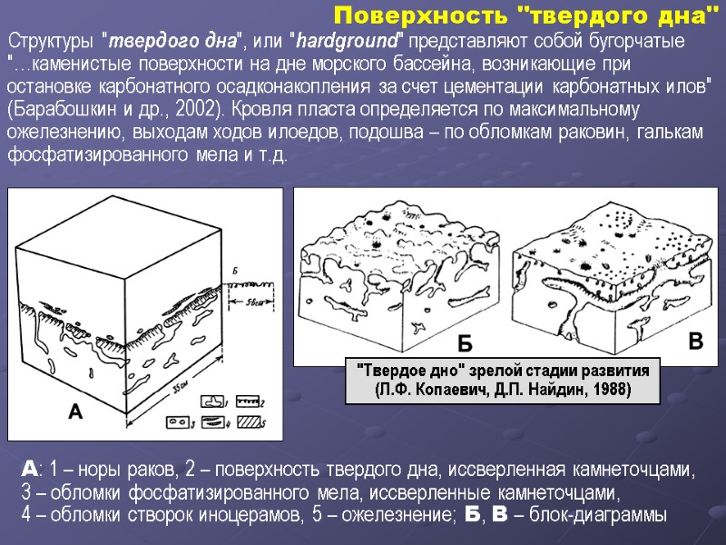 Поверхность 